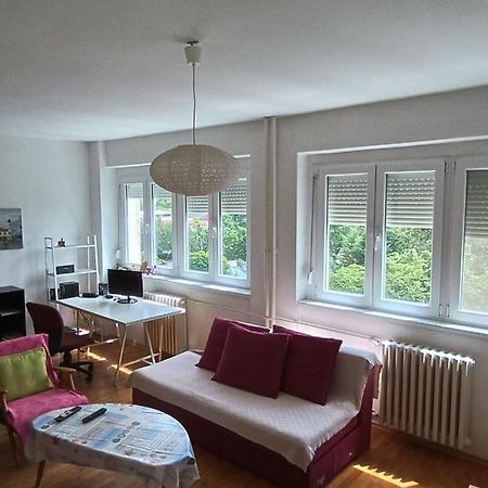 Viva Apartment Σκόπια Εξωτερικό φωτογραφία